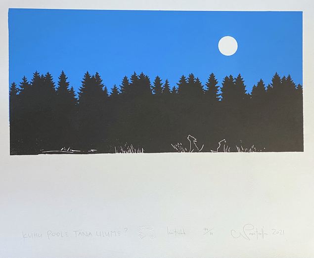 Kuhu poole t�na ulume?, Navitrolla E-kunstisalongis