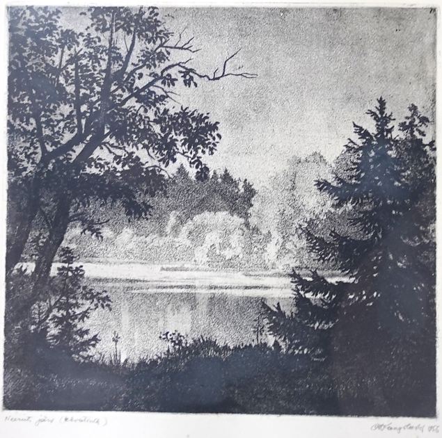 Neeruti j�rv, Ott Kangilaski E-kunstisalongis