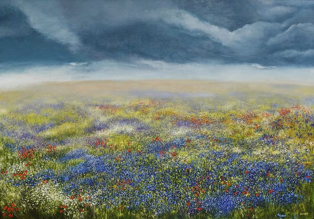 Pilvesilmne p�ev, Evi Kaur E-kunstisalongis