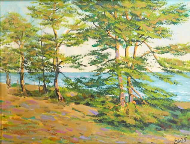 J�rve rand Saaremaal, Enno Allik E-kunstisalongis