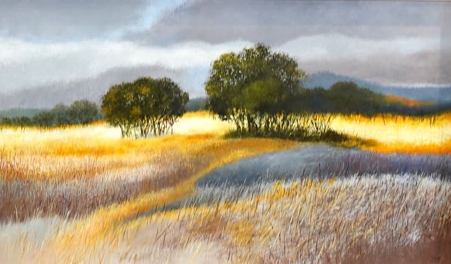 Pilves selgimistega, Evi Kaur E-kunstisalongis