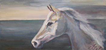 Uudishimulik Fergo, Aime Asi E-kunstisalongis