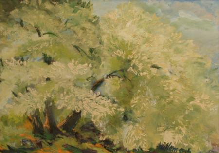 Toomingas, Marju Villem E-kunstisalongis