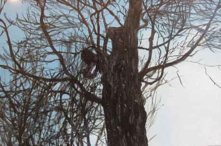 Puud, Maris Palgi E-kunstisalongis