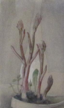 Lilled I, Ilmar Malin E-kunstisalongis