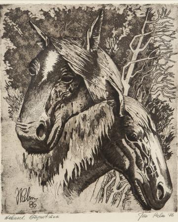 Hobused, J�ri Palm E-kunstisalongis