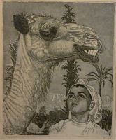 66. Berberi tüdruk kaameliga, Eduard Wiiralt E-kunstisalongis