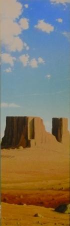 H�belik sipelgal�vi, Navitrolla E-kunstisalongis