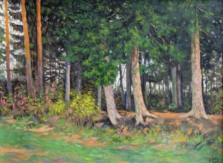 Ruhijärve kaldal, Enno Allik E-kunstisalongis