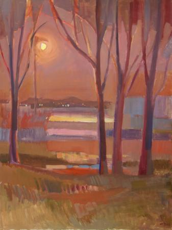 Pime aeg, Maris Tuuling E-kunstisalongis