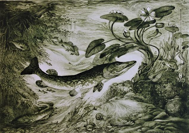 Haug ja vesiroos, Viive Kuks E-kunstisalongis