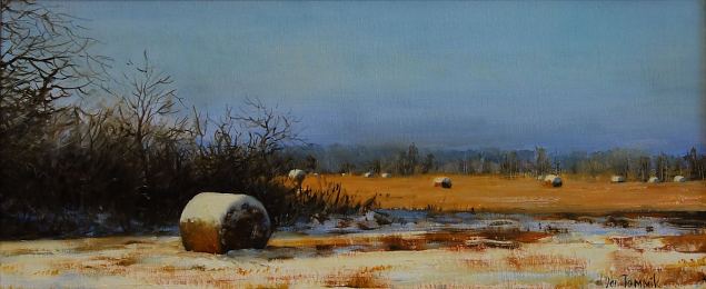 Talvine maastik heinapallidega, Jan Tammik E-kunstisalongis